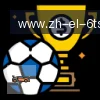 6T体育 logo